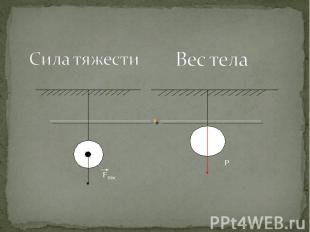 Сила тяжести Вес тела