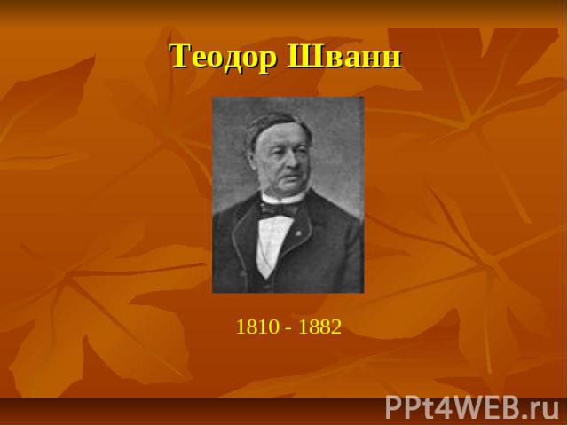 Теодор Шванн 1810 - 1882
