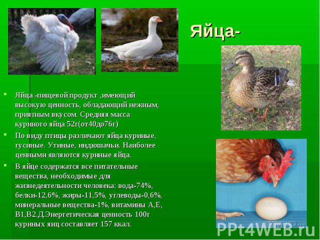 Яйца- Яйца -пищевой продукт ,имеющий высокую ценность, обладающий нежным, приятным вкусом. Средняя масса куриного яйца 52г(от40до76г)По виду птицы различают яйца куриные, гусиные. Утиные, индюшачьи. Наиболее ценными являются куриные яйца.В яйце соде…