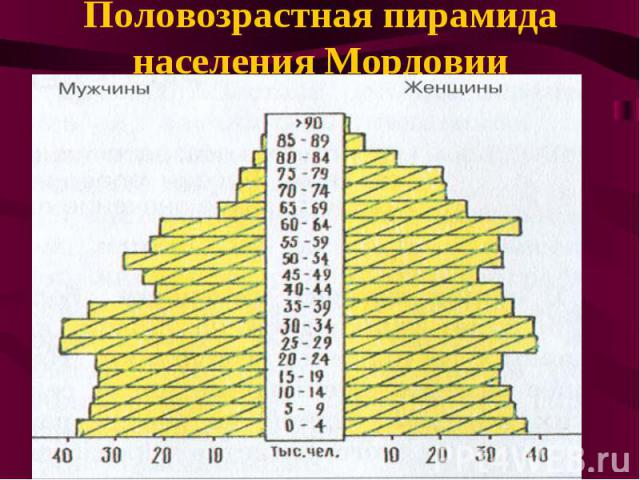 Половозрастная пирамида населения Мордовии