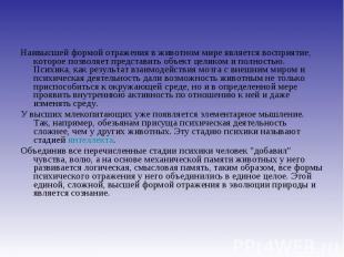 Наивысшей формой отражения в животном мире является восприятие, которое позволяе