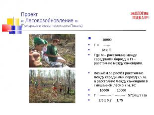 Проект « Лесовозобновление »(Пожарище в окрестностях села Пивань) 10000Г = -----