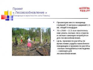 Проект « Лесовозобновление »(Пожарище в окрестностях села Пивань) Просмотрев мес