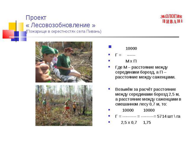 Проект « Лесовозобновление »(Пожарище в окрестностях села Пивань) 10000Г = ------ М х ПГде М – расстояние между серединами борозд, а П – расстояние между саженцами.Возьмём за расчёт расстояние между серединами борозд 2,5 м, а расстояние между саженц…