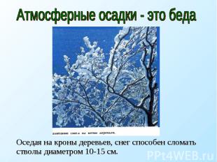 Атмосферные осадки - это беда Оседая на кроны деревьев, снег способен сломать ст