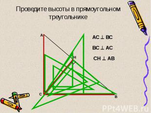 Проведите высоты в прямоугольном треугольнике