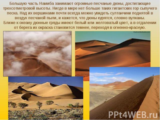 Большую часть Намиба занимают огромные песчаные дюны, достигающие трехсотметровой высоты. Нигде в мире нет больше таких гигантских гор сыпучего песка. Над их вершинами почти всегда можно увидеть султанчики поднятой в воздух песчаной пыли, и кажется,…