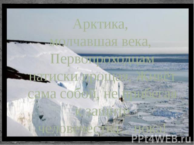Арктика, молчавшая века, Первопроходцам натиски прощая, Живёт сама собой, не прибегая к защите человечества... пока!