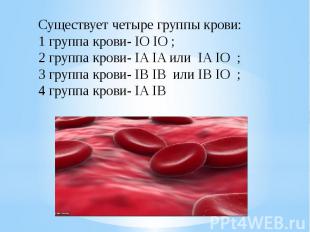 Существует четыре группы крови:1 группа крови- IO IO ;2 группа крови- IA IA или