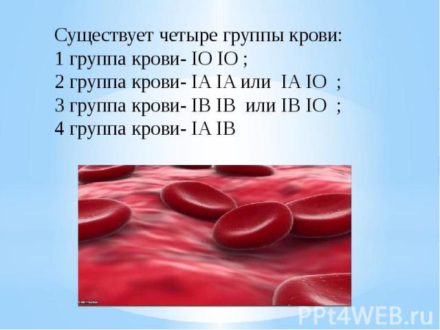 Существует четыре группы крови:1 группа крови- IO IO ;2 группа крови- IA IA или IA IO ; 3 группа крови- IB IB или IB IO ;4 группа крови- IA IB