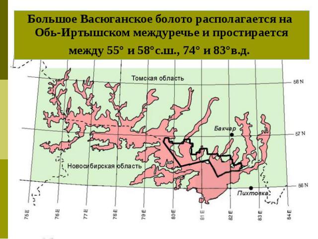 Большое Васюганское болото располагается на Обь-Иртышском междуречье и простирается между 55° и 58°с.ш., 74° и 83°в.д.