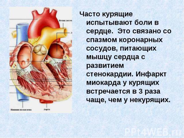 Часто курящие испытывают боли в сердце. Это связано со спазмом коронарных сосудов, питающих мышцу сердца с развитием стенокардии. Инфаркт миокарда у курящих встречается в 3 раза чаще, чем у некурящих.