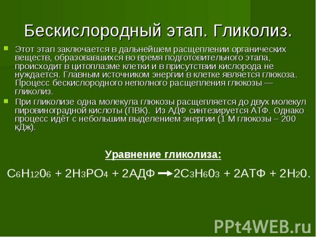 Бескислородный этап. Гликолиз. Этот этап заключается в дальнейшем расщеплении органических веществ, образовавшихся во время подготовительного этапа, происходит в цитоплазме клетки и в присутствии кислорода не нуждается. Главным источником энергии в …