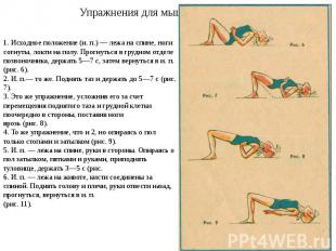 Упражнения для мышц спины 1. Исходное положение (и. п.) — лежа на спине, ноги со