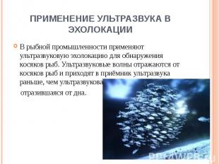 Применение ультразвука в эхолокации В рыбной промышленности применяют ультразвук
