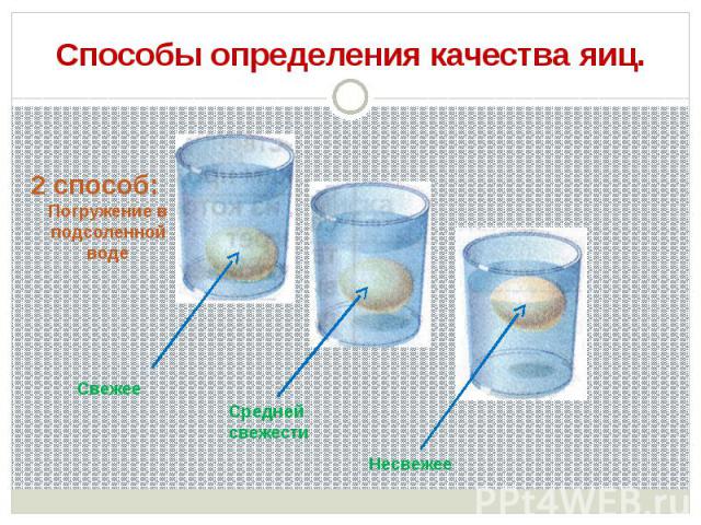 Способы определения качества яиц. 2 способ: Погружение в подсоленной воде Свежее Средней свежести Несвежее