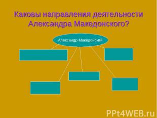 Каковы направления деятельности Александра Македонского?
