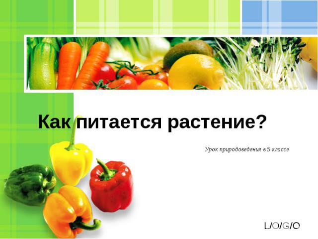 Как питается растение?Урок природоведения в 5 классе