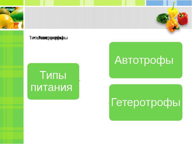 Типы питания Автотрофы Гетеротрофы