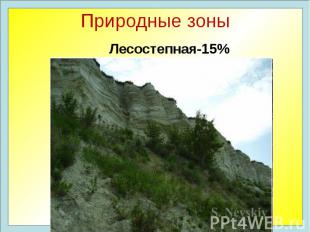 Природные зоны Лесостепная-15%