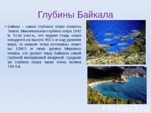 Байкал – самое глубокое озеро планеты Земля. Максимальная глубина озера 1642 м.