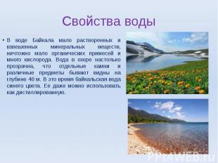 Свойства воды В воде Байкала мало растворенных и взвешенных минеральных веществ,