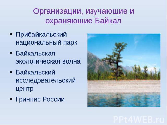 Организации, изучающие и охраняющие Байкал Прибайкальский национальный паркБайкальская экологическая волнаБайкальский исследовательский центрГринпис России