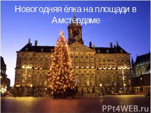 Новогодняя ёлка на площади в Амстердаме