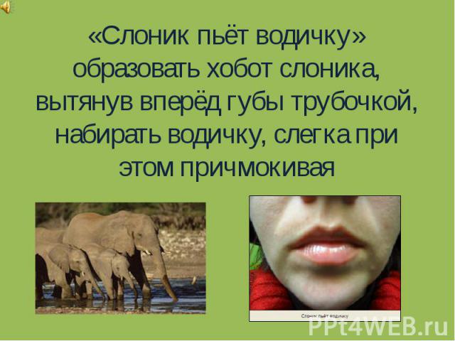 «Слоник пьёт водичку»образовать хобот слоника, вытянув вперёд губы трубочкой, набирать водичку, слегка при этом причмокивая