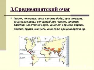 3.Среднеазиатский очаг (горох, чечевица, чина, капские бобы, нут, морковь, азиат