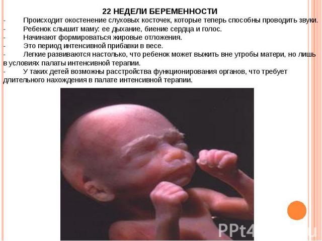 Ребенок в 22 недели беременности размер плода фото узи