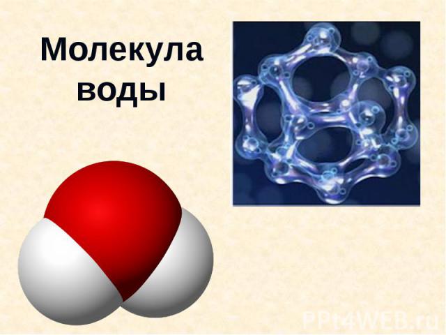 Молекулаводы