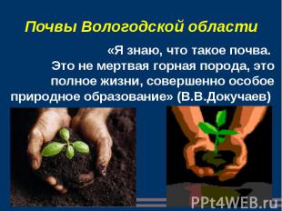 Почвы Вологодской области «Я знаю, что такое почва. Это не мертвая горная порода