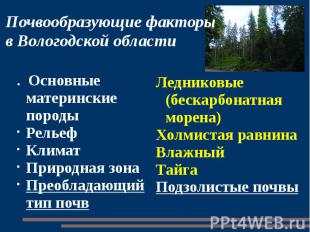Почвообразующие факторыв Вологодской области . Основные материнские породы Релье