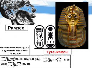 Рамзес Упоминание о вирусах в древнеегипетскомпапирусе Тутанхамон
