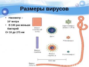 Размеры вирусовНанометр – 10-9 метраВ 100 раз меньше бактерий От 10 до 275 нм