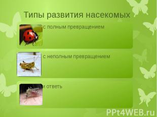 Типы развития насекомых Развитие с полным превращениемРазвитие с неполным превра
