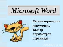 Microsoft Word. Форматирование документа. Выбор параметров страницы