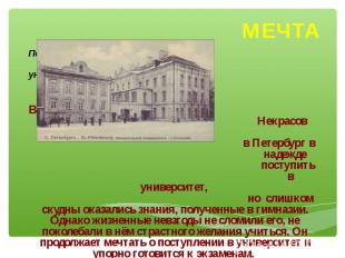 Петербургский университет В1837 г. Некрасов приехал в Петербург в надежде поступ