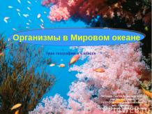 Организмы в Мировом океане 6 класс