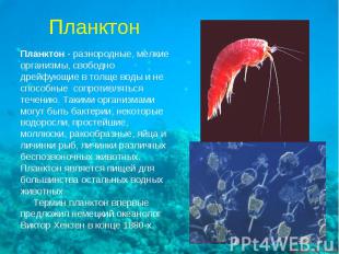 Планктон - разнородные, мелкиеорганизмы, свободнодрейфующие в толще воды и неспо