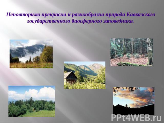 Неповторимо прекрасна и разнообразна природа Кавказского государственного биосферного заповедника.