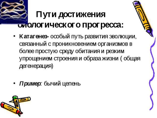 Пути достижения биологического прогресса: Катагенез- особый путь развития эволюции, связанный с проникновением организмов в более простую среду обитания и резким упрощением строения и образа жизни ( общая дегенерация)Пример: бычий цепень