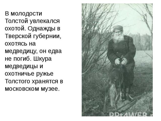 В молодости Толстой увлекался охотой. Однажды в Тверской губернии, охотясь на медведицу, он едва не погиб. Шкура медведицы и охотничье ружье Толстого хранятся в московском музее.