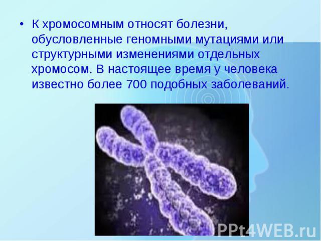 К хромосомным относят болезни, обусловленные геномными мутациями или структурными изменениями отдельных хромосом. В настоящее время у человека известно более 700 подобных заболеваний. К хромосомным относят болезни, обусловленные геномными мутациями …
