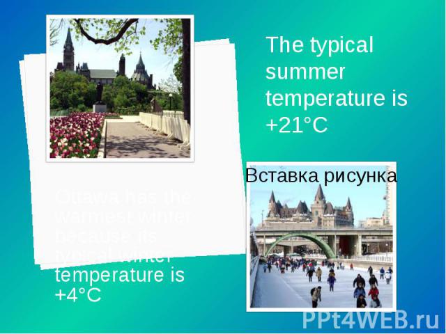 Ottawa has the warmest winter because its typical winter temperature is +4°C Ottawa has the warmest winter because its typical winter temperature is +4°C
