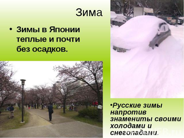 Зима Зимы в Японии теплые и почти без осадков.Русские зимы напротив знамениты своими холодами и снегопадами.