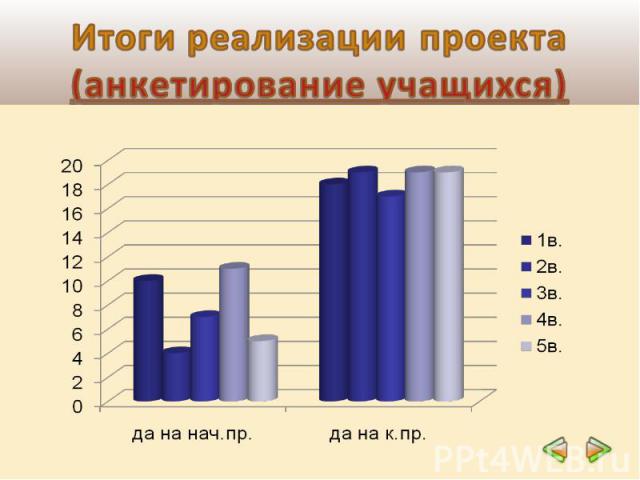 Итоги реализации проекта(анкетирование учащихся)