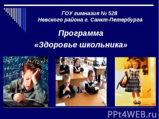 ГОУ гимназия № 528 Невского района г. Санкт-Петербурга Программа«Здоровье школьн