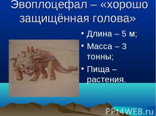 Эвоплоцефал – «хорошо защищённая голова» Длина – 5 м;Масса – 3 тонны;Пища – раст